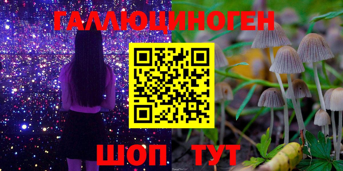 Псилоцибиновые грибы Psilocybine cubensis Вологда